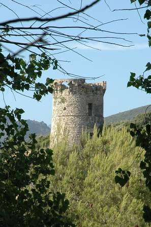 Tour génoise à travers la végétation